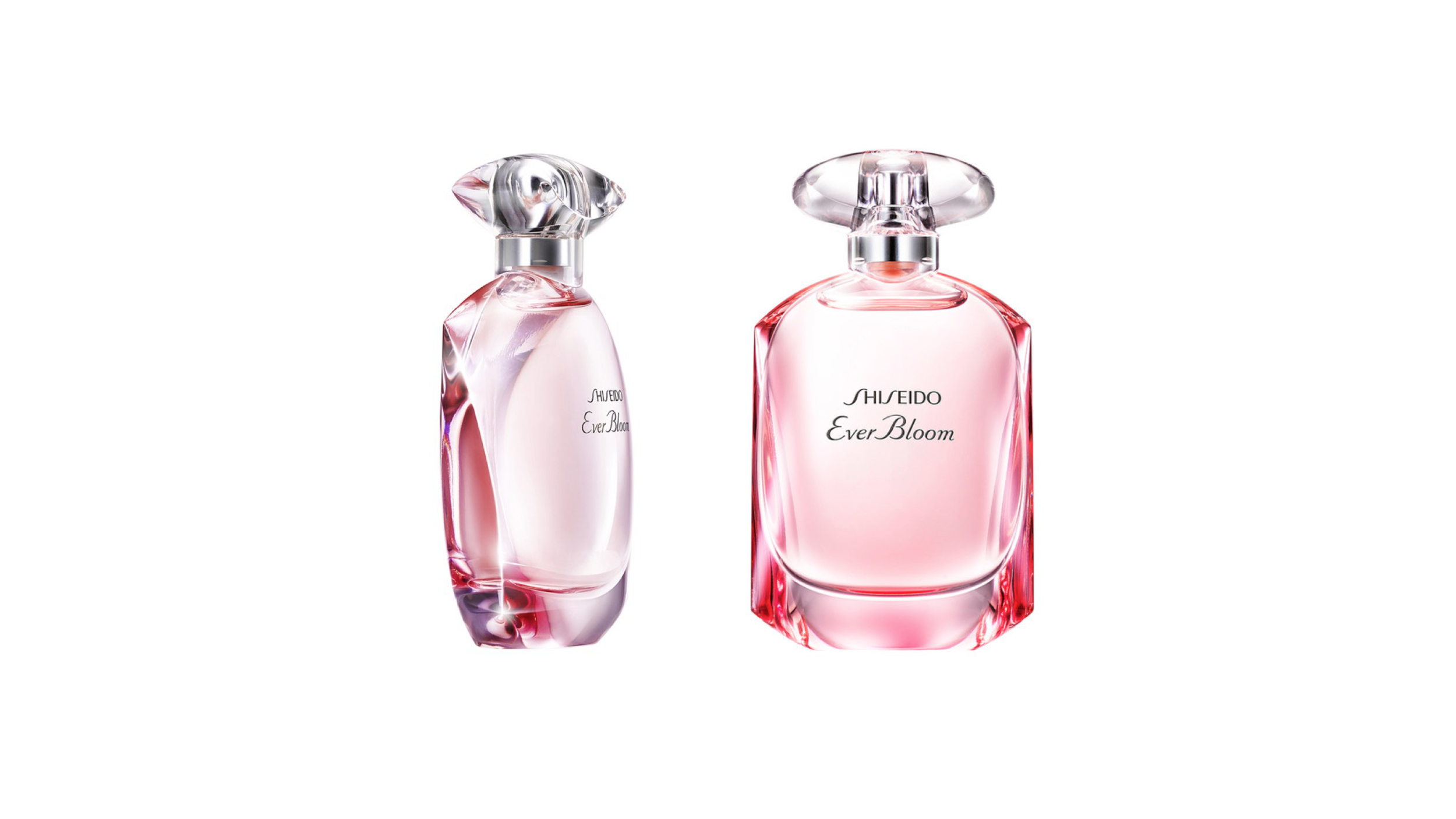 EVER BLOOM MA DO inc